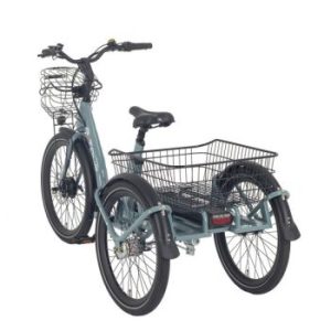 Cargo Bike Trike Middle