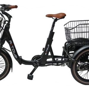 Cargo Bike Trike Mini